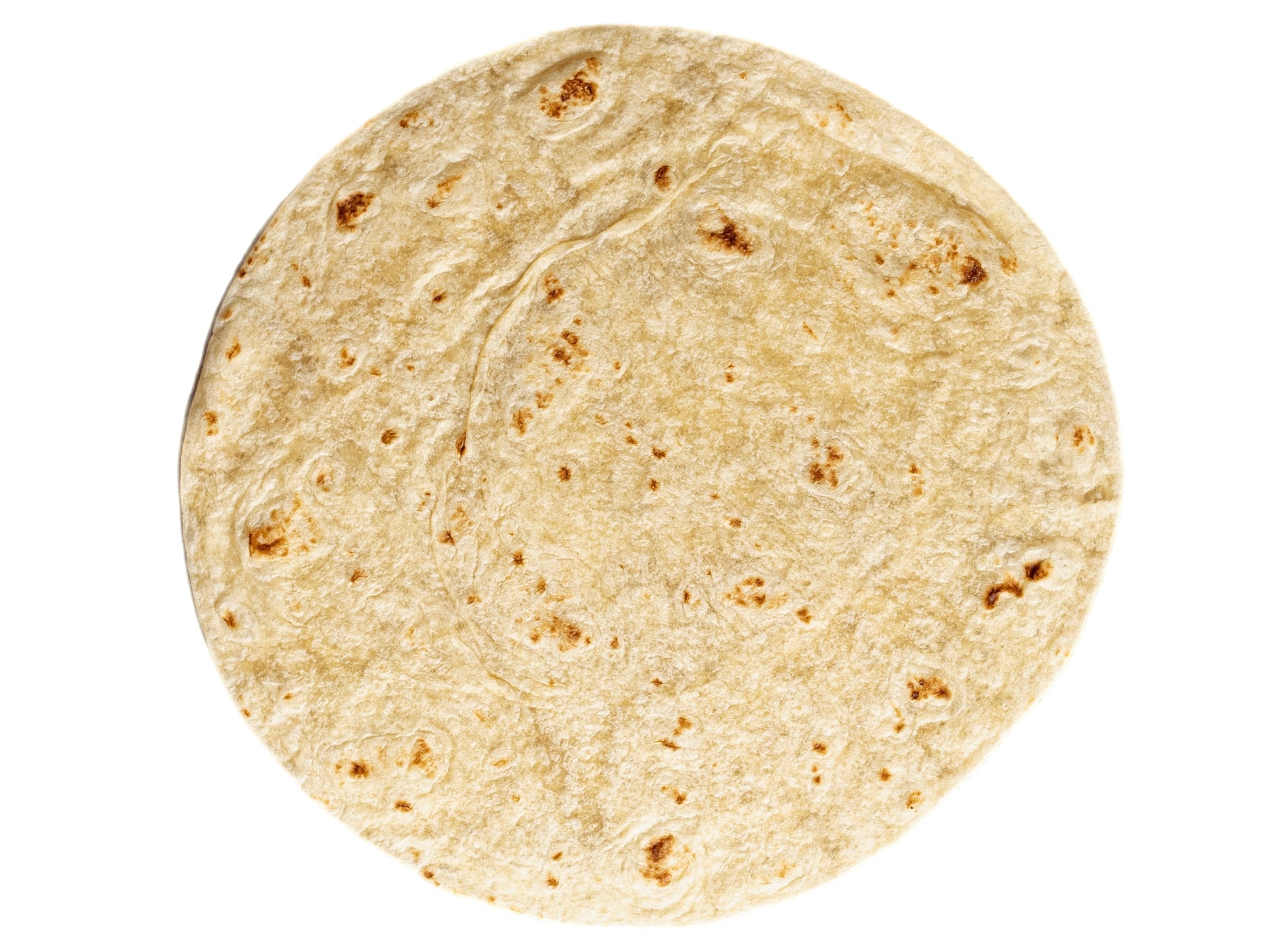 Product photo image of La Jolla Tortilleria's 8 Inch Sonora Style Fresh Flour Tortilla
