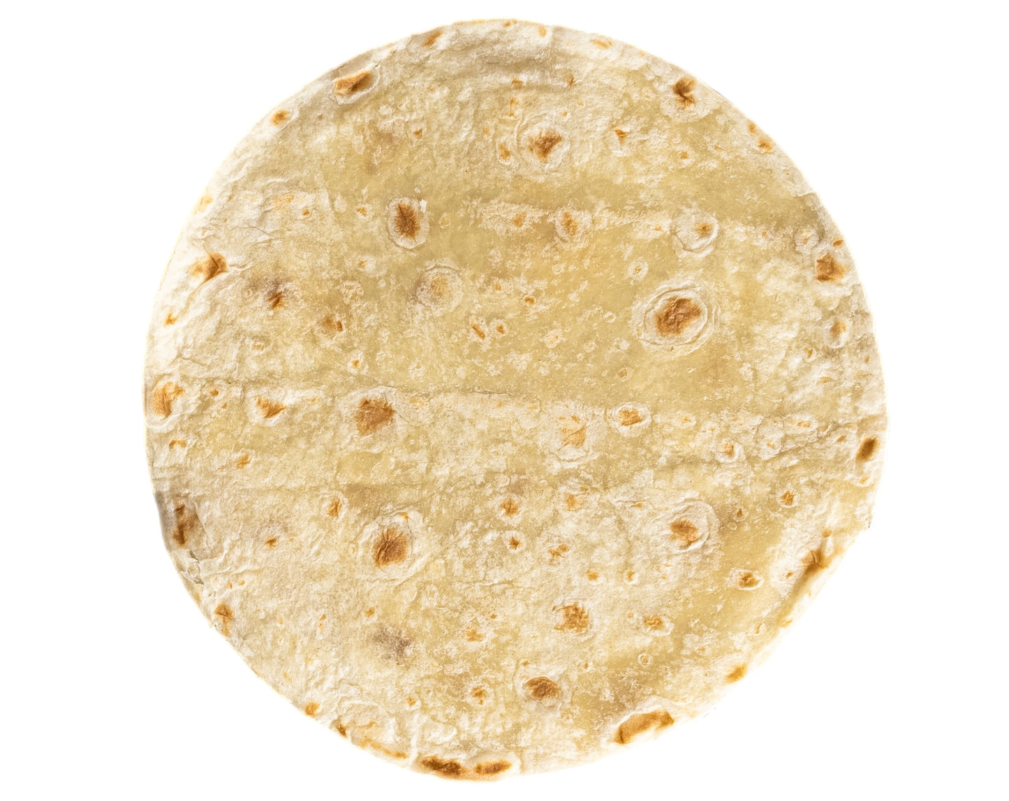 Product Photo of La Jolla Tortilleria's 5 inch Sonora Style Fresh Organic Flour Tortilla Single